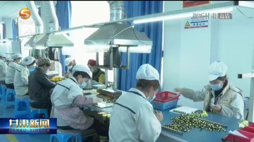 甘肃打好特色牌 助力民族地区书写致富奔小康精彩答卷